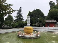 -泰山风景名胜区-普照寺