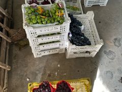 -马陆小张葡萄园农家乐