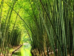 -同里国家湿地公园