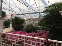 -广东花都香草世界旅游度假区