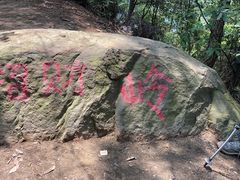 -南山植物园