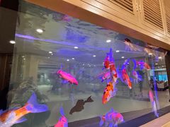 -庐州太太(南七里店)