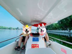 -后海公园