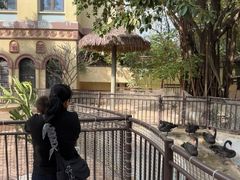 -熊猫自助餐厅.萌趣城堡(长隆熊猫酒店)