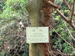 -北仑森林植物园