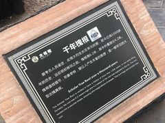 -大槐树寻根祭祖园