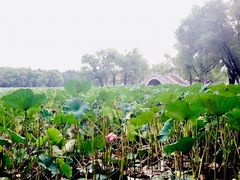 -长春市南湖公园