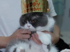 -壹点壹客·生日蛋糕(南山店)