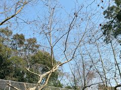 -宁波野生动物园