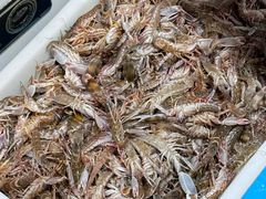 -超越海鲜屋(飞龙物业店)