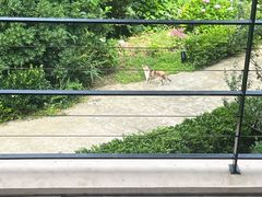 -南紀白浜 浜千鳥の湯 海舟