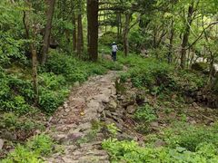 -安吉龙王山风景区