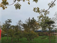 -太原动物园