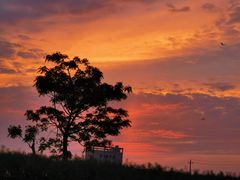 -来康盲人按摩(惠民北街店)