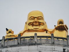 -苏州上方山国家森林公园