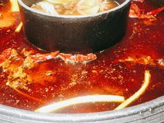 菌汤鸳鸯锅-晓宇重庆火锅(龙首店)