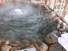 -春晖园度假酒店温泉