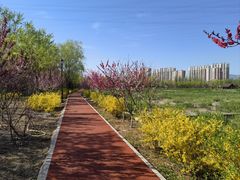 -永定河休闲森林公园