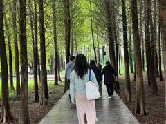 -溱湖国家湿地公园