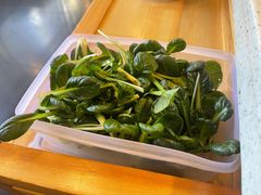 有机乌塌菜-烹然四季椰子鸡火锅(团结湖总店)