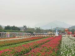 -盈香心动乐园