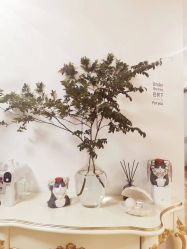 -美肤盾祛痘·问题肌头疗管理中心