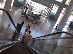 -南方医科大学深圳医院