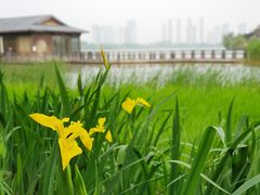 -渤公岛生态公园