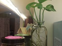 -苏小糖(鼓浪屿三丘田花园店)