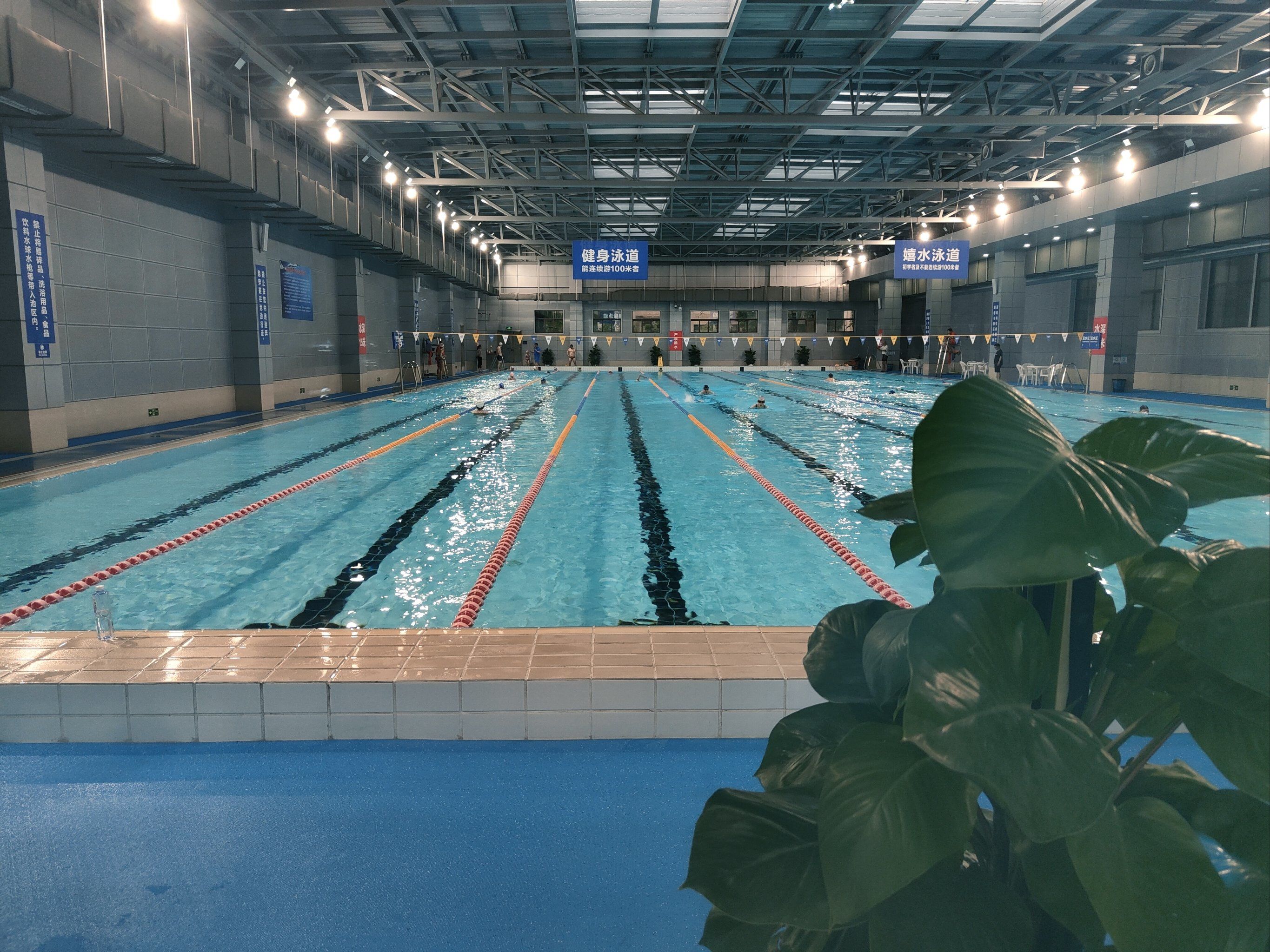 游得不错,自我感觉良好