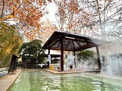 -春晖园度假酒店温泉