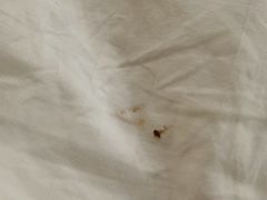 -海创大连科技交流中心(海事大学地铁站店)