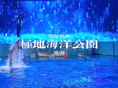 -海合安青岛极地海洋公园