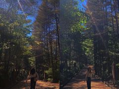 -洛阳白云山景区