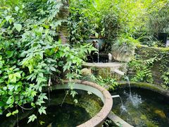 -野蔓果·山野菜(西湖景区·龙井茶田店)