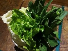 蔬菜拼盘-龙泉人椰子鸡.糟粕醋.海南菜(三亚旗舰店)