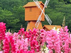 -苏州上方山国家森林公园