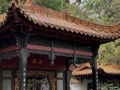 -广州兰圃