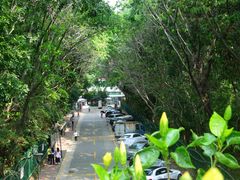 -深圳国际园林花卉博览园