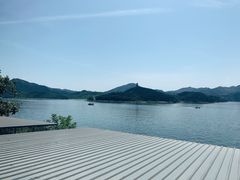 -望湖烤鱼
