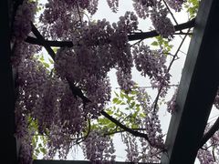 -北京市劳动人民文化宫(太庙)