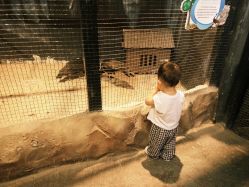 -酷嗒动物文化乐园(cutezoo西溪乐天城店)