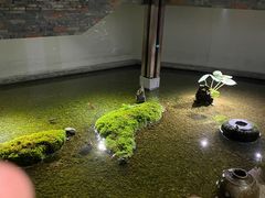 -几荷·恰似故人来(秀水广场店)