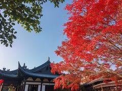 -常熟方塔园