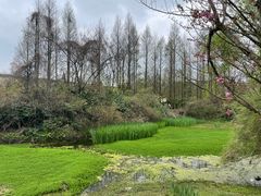 -贵阳市花溪国家城市湿地公园