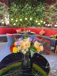 -花隐·美芙炫海菲秀皮肤管理中心