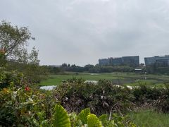 -华侨城湿地公园