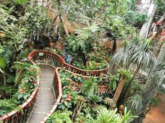 -正佳雨林生态植物园