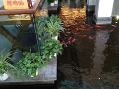 -旺顺阁鱼头泡饼(小红门店)