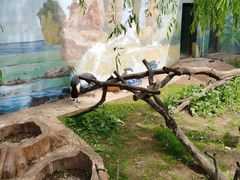-济南野生动物世界